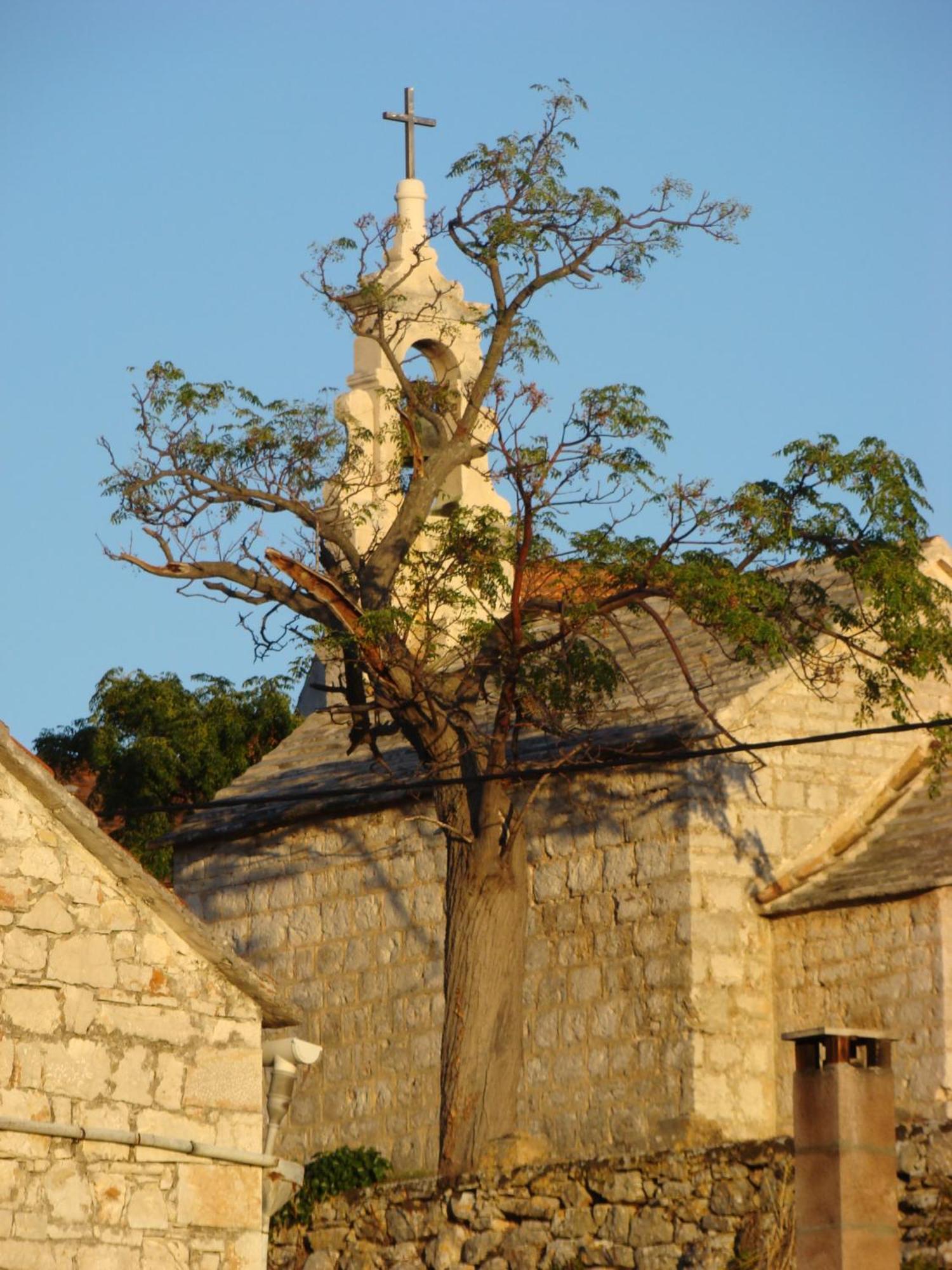 Villas Oleandri Vrboska Exterior foto